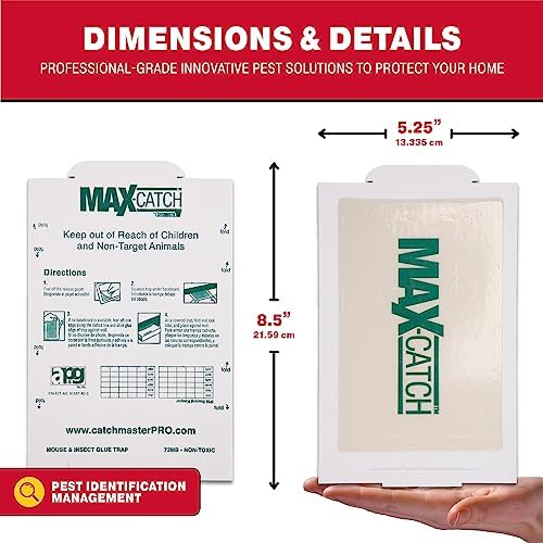 Catchmaster Mouse & Insect Glue Board Set, 36 Glue Boards & 30 Spider & Insect Glue Traps, Indoor Roach Trap for Home, Garage & Shed, Pet Safe Pest Control