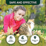 Flea Collar for Cats: 4 Pack Adjustable Kitten Flea Collar - 8-Month Protection, Waterproof, Gray