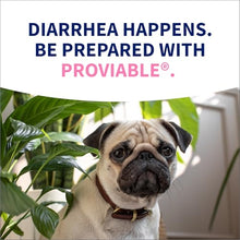 Load image into Gallery viewer, Nutramax Proviable Probiotics for Dogs, Diarrhea Support Kit, Digestive Health Supplement with Multiple Strains of Bacteria, Plus Prebiotics, Kaolin and Pectin, 30 ml Paste and 10 Capsules
