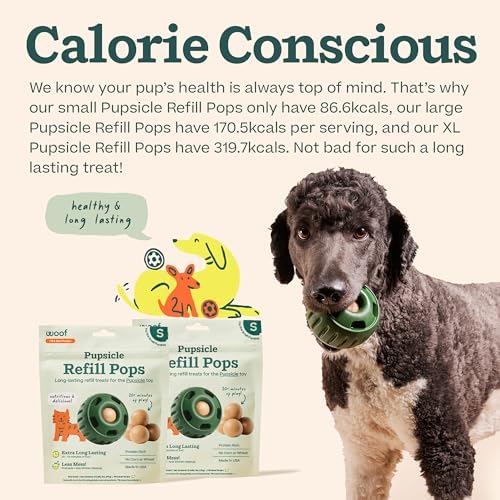 WOOF Pupsicle Refill Pops - Low-Mess Dog Snacks - with Peanut Butter and Beef - Dog Treats - Long Lasting - Small Pops - 10 Count - 2 Pack