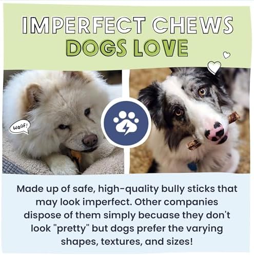 Pawstruck Natural Bizarre Bully Sticks Bargain Bag for Dogs & Puppies - Variety Pack of 8-12" Long Lasting Eco-Conscious Beef Chew Treats - 1 lb. Bag - Packaging May Vary