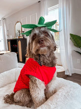 Midlee Strawberry Halloween Dog Costume (Large)