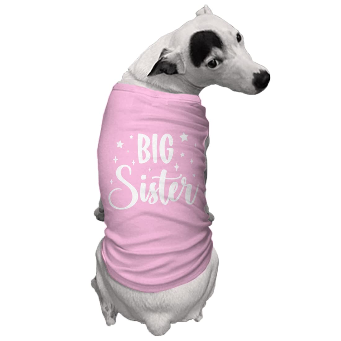 Big Sister - Older Sis Siblings Dog Shirt (Pink, Small)