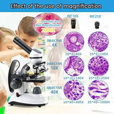 40X-2000X Microscopes for Kids Students Adults, with Microscope Prepared Slides 30p, 2.0 mp Camera, Microscope Accessories, Phone Adapter, Microscopes for School Laboratory Home Education