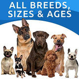 Hemp Chews Dogs Hip Joint Pain Relief - Glucosamine Chondroitin Hemp Treats for Joint Health - Dog Joint Supplement Large Breed & Small - Hemp Oil Pill - Canine Vitamin Treat Old Dog (240Ct/Chicken)