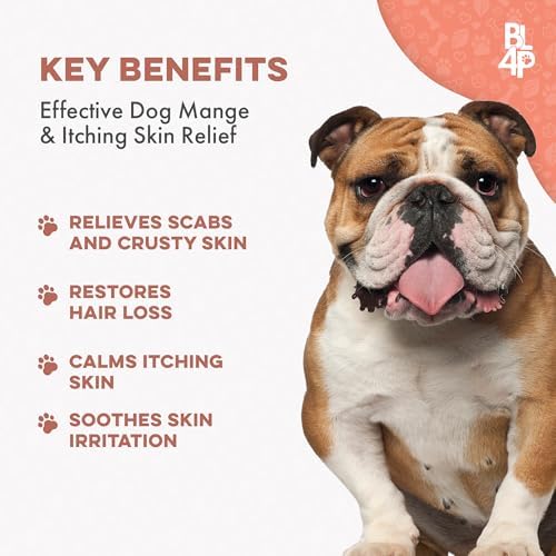 Mange Treatment for Dogs, Natural Dog Itching Skin Relief for Demodectic & Puppy Mange, Mites, Canine Scabies, Helps Dogs Skin Irritation, Hot Spots, Hair Loss, and Canine Dandruff, 800 Odorless Pills
