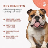 Mange Treatment for Dogs, Natural Dog Itching Skin Relief for Demodectic & Puppy Mange, Mites, Canine Scabies, Helps Dogs Skin Irritation, Hot Spots, Hair Loss, and Canine Dandruff, 800 Odorless Pills