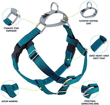 2 Hounds Design Freedom No Pull Dog Harness, Adjustable Harness, Easy Walking & Comfortable Control, Fits Small, Medium & Large Dogs, Solid Colors, Made in USA, 1" LG, Teal