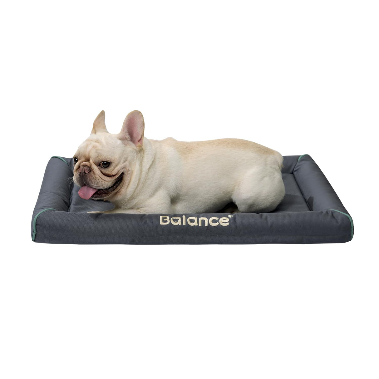 BALANCE Oxford Dog Bed for Medium Dogs, Waterproof Dogs Crates Pad Outdoor Dog Crate Mat, Wipe Clean & Easy Rinse, 30 inch