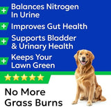 BARK&SPARK Green Grass Chews - Pee Grass Spot Saver Caused by Dog Urine - Urine Neutralizer for Lawn, Gut Health Probiotics & Digestive Enzymes,Lawn Burn from Dog Urine, Grass Burn Spot Chews, Rocks