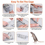 KOCASO Humane Rat Trap, Large 2-Door Mouse Trap That Work for Indoor Home and Outdoor, Catch and Release Live Animal Trap Cage for Squirrel Mice Gopher Vole Chipmunk Raccoon Rodent Rabbit Groundhog