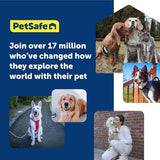 PetSafe Gentle Leader No-Pull Head Collar for Dogs, Dog Head Collar - The Ultimate Solution to Pulling, Padded Nose Loop, Quick-Snap Neck Strap, Dog Halter, Large - Black