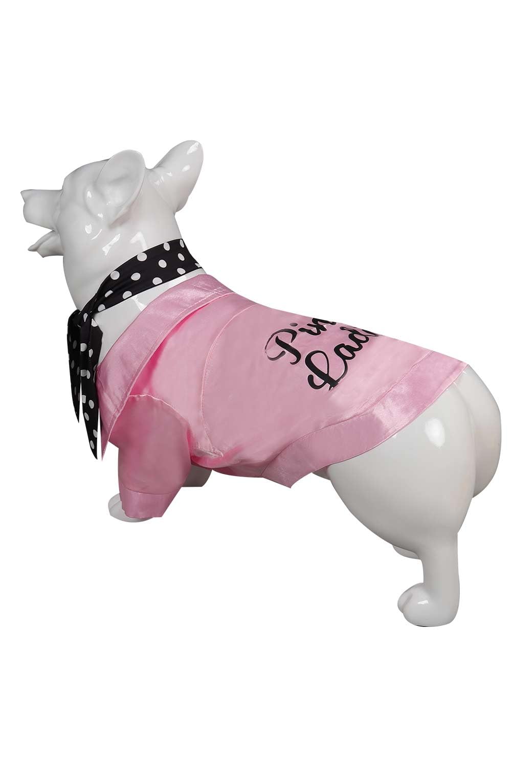 Vecborn Dogs Pink Jacket Pet Clothes Rydell School Cheerleader Pet Costume Pets Party Suit (Pink, Medium)