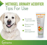 Vetoquinol Methigel Urinary Acidifier to Promote Urinary and Bladder Health for Dogs & Cats