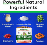 BARK&SPARK Green Grass Chews - Pee Grass Spot Saver Caused by Dog Urine - Urine Neutralizer for Lawn, Gut Health Probiotics & Digestive Enzymes,Lawn Burn from Dog Urine, Grass Burn Spot Chews, Rocks
