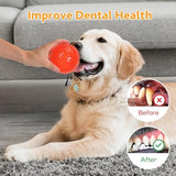petizer 6 Pack 2.5” Squeaky Dog Toy Balls, Floating Dog Pool Balls, Spiky Dog Balls, Durable Interactive Fetch Toys for Puppy, Dog Chew Toys for Teething (2.5", Small Dog)