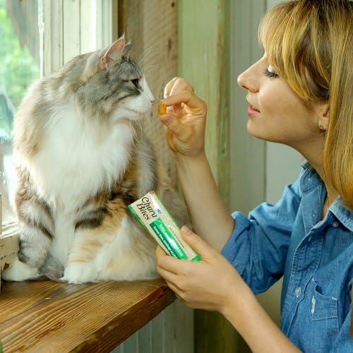 Inaba Churu Bites for Cats, Soft Baked Chicken Churu Filled Cat Treats with Vitamin E, 0.35 Ounces Each Tube, 24 Tubes Total (3 per Pack), Tuna with Salmon Recipe