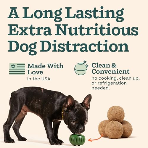 WOOF Pupsicle Refill Pops for All-in-1 Health - Long-Lasting Multivitamin Refills for The Pupsicle Toy - with Vitamins A, B, D, Iron, Magnesium, and Fiber - XL Pops - 5 Count