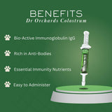 Dr. Orchard's Colostrum Paste, Immune Support Supplement for Puppies and Kittens, Bio-Active IgG Formula, 30g