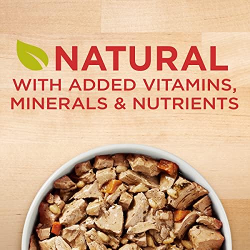 Purina ONE Tender Cuts in Wet Dog Food Gravy Chicken and Brown Rice Entree - (Pack of 12) 13 oz. Cans