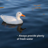 New Country Organics - Duck Layer Feed - Adult & Laying Duck Food - Soy-Free, 17% Protein - Certified Organic & Non-GMO - 40 lbs
