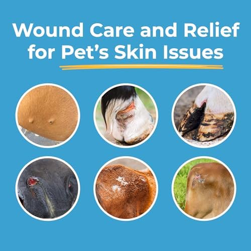 Pet Cut & Itch Care - Hot Spot Gel for Dogs and Cats - Hydrogel - Skin & Coat Care - Anti-Itching for Cats - for Cuts, Burns, Skin Irritation - Pet Recovery – 4OZ