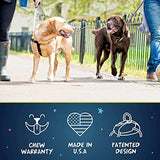 2 Hounds Design Freedom No Pull Dog Harness, Adjustable Harness, Easy Walking & Comfortable Control, Fits Small, Medium & Large Dogs, Solid Colors, Made in USA, 1" LG, Teal