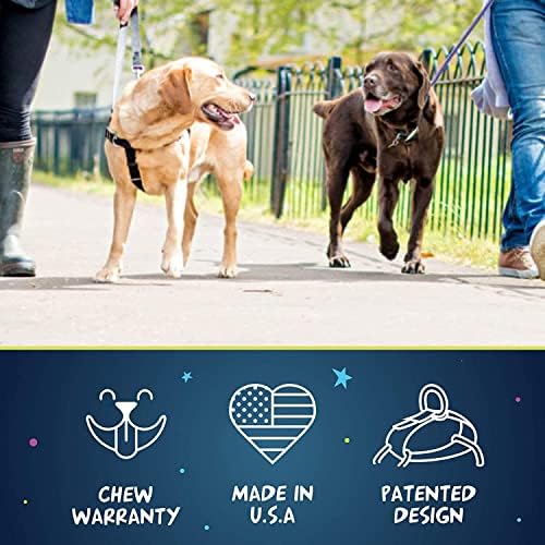 2 Hounds Design Freedom No Pull Dog Harness, Adjustable Harness and Leash Set, Easy Walking & Comfortable Control, Fits Small, Medium & Large Dogs, Solid Colors, Made in USA, 1" MD, Kelly Green
