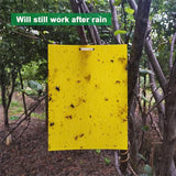 60 Sheets Sticky Fly Traps, Dual-Sided, for Flying Insect, Indoor and Outdoor, 8x6 Inch, Yellow