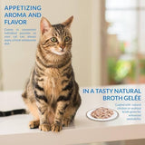 INABA Twin Packs for Cats, Shredded Chicken & Broth Gelée Side Dish/Topper Pouch, 1.4 Ounces per Serving, 16 Servings, Tuna & Chicken Recipe in Tuna Broth