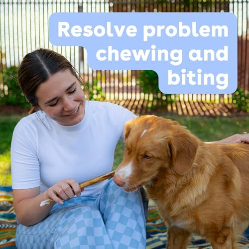 Pupford Thick Bully Sticks for Dogs & Puppies, Smoked for Improved Smell, Natural, Long-Lasting, Single Ingredient Chews for Medium & Large Breeds (12", 10 Count)