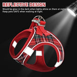 GAMUDA Dog Harness, Collar and Seat Belt Set, Vehicle Safety Harness, Retractable Adjustable Pet Seatbelts with Travel Strap and Carabiner for Most Cars (Red, XS)