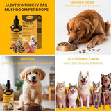 Turkey Tail Mushroom for Dogs - Faster Absorption 2000mg Turkey Tail Mushroom for Immune & Digestive, Joint, Energy, 5X Mushrooms for Pet Drop with Turmeric & Probiotic - Vet Formulated 900ML