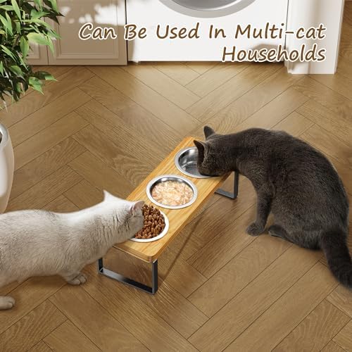 Elevated Cat Bowls with 3 Stainless Steel Bowls | 10° Tilted Anti-Vomiting Raised Cat Food Bowls for Small Cats and Puppies Pet Bowls with Stand