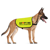 CENWA Adopt I’m A Foster Jacket Vest Adopt Dog Jacket Vest New Puppy Dog (I'm A Foster L)