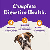 Halo Holistic Dog Food Cage Free Chicken & Brown Rice Formula, Healthy Grains Dry Dog Food, Complete Digestive Health, Kibble for Adult Dogs, 10 lb Bag