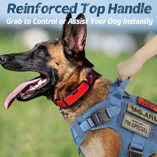 rabbitgoo Tactical Dog Harness for Large, Heavy Duty Pet Harness with Handle, No-Pull Service Vest Large Breed, Adjustable Military Dog Vest for Training Hunting Walking, Blue, XL