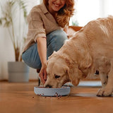 Coomazy Large Silicone Slow Feeder Dog Bowls, Interactive Puzzle Toy for Pets Food Training, Keeps Dogs Busy, Prevents Puppy Overeating (Smoke Gray, Large: 3.2Cup)