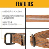 Carhartt Fully Adjustable Nylon Webbing Collars for Dogs, Reflective Stitching for Visibility, Light Moss (Nylon Webbing), Large