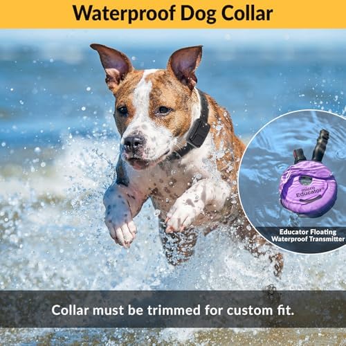 Educator E-Collar Humane Dog Training Collar with Remote, 100 Safe Tapping Stimulation Levels, Night Light, Waterproof, Rechargeable, 1/3 Mile 1 Small Dog, Purple