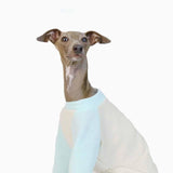 UOSIA Italian Greyhound Clothes Whippet Clothes Basic Soft Dog Shirt Long-Sleeved Dog Pullover Shirt Cotton Puppy Clothing Crewneck Dog Sportswear Fall Pet Outfits for Small Medium Dogs