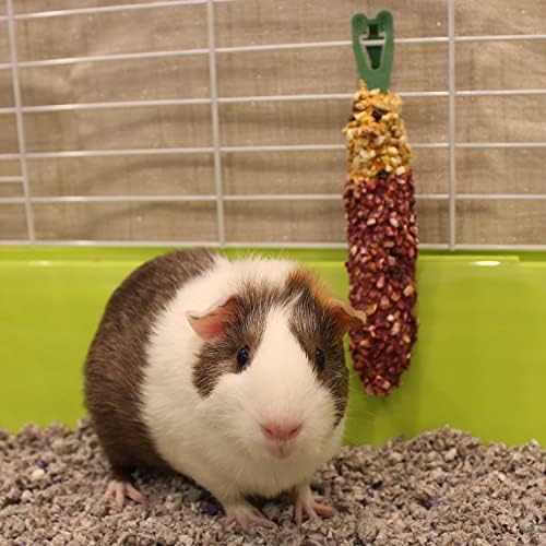 Vitakraft Crunch Sticks Guinea Pig Treat, Wild Berry and Honey, Multi Pack of 6 Sticks