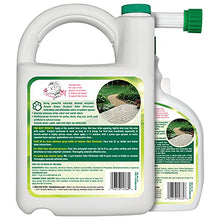 Load image into Gallery viewer, Simple Green Outdoor Odor Eliminator for Pets, Dogs, Ideal for Artificial Grass &amp; Patio (32 oz Hose End Sprayer &amp; 1 Gallon Refill)
