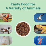 4LB Non-GMO Dried Black Soldier Fly Larvae, More Calcium Than Dried Mealworms, High Protein Chicken Feed, Poultry Treats