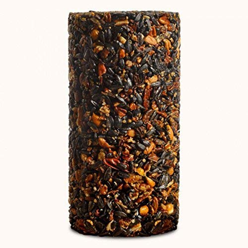 2-Pack Mr. Bird Woodpecker Feast Small Cylinder | Wild Bird Food for Outdoor Birds | Backyard Birdfeeding