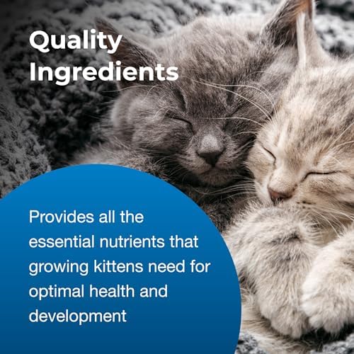 PetAg KMR Kitten Milk Replacer Powder - 6 oz - Powdered Kitten Formula with Prebiotics, Probiotics & Vitamins for Kittens Newborn to Six Weeks Old - Easy to Digest