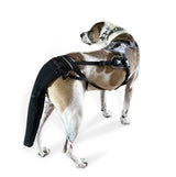 K9 TailSaver: Large Happy Tail Protector for Labrador, Golden Retrieve, Pitty, Doodles – Check Size Chart Image for FIT