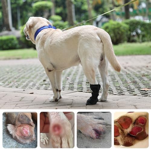 ETIAL Dog Paw Wound Recovery Boot, Waterproof Dog Bootie for Injured Paw, Anti-Slip Dog Shoe with Self-Adhesive Strap, Dog Paw Protector for Outdoor Walking & Keep Dogs from Licking Wounds (XL)