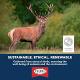 Primal Antlers for Dogs, Grade A Split Stag Antlers for Medium Canines 15-30 lb, Natural Chews for Aggressive Chewers, Naturally Shed, Long Lasting Dog Bones, 1 ct