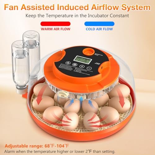 18 Egg Incubator with Automatic Egg Turning and Humidity Control, 360° View Incubators for Hatching Eggs, Incubator for Chicken Eggs, Ducks, Goose, Pigeon, Quail, Parrot Eggs (Orange)